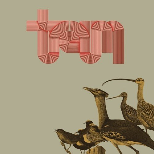 

Traum [LP] - VINYL
