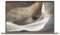 ASUS - Zenbook A16 16" 3K OLED Laptop - Copilot+ PC - Snapdragon X2 Elite Extreme with 48GB RAM - 1TB SSD - Zabriskie Beige-Front_Standard