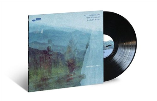  Openness Trio [LP] - VINYL INTERNATIONAL SHIPPING