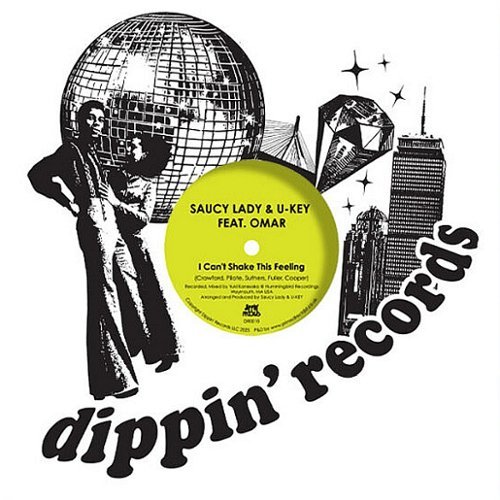 I Can't Shake This Feeling [12 inch Vinyl Single]