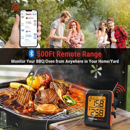 ThermoPro Bluetooth Dual Probe Digital Meat Thermometer - Black WORLDWIDE DELIVERY