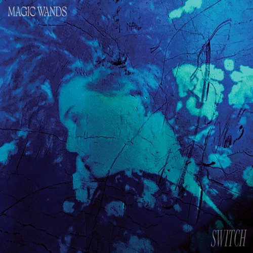

Switch [LP] - VINYL