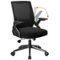 CloudRest Pro - Breathable Mesh Office Chair with Flip-up Armrests Ergonomic Computer Desk Chair with Adaptive Lumbar Support - Black-Front_Standard