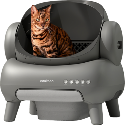 NEAKASA - M1 Plus Open Top Self-Cleaning Cat Litter Box - Gray-Front_Standard 