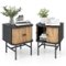 Costway - Set of 2 Nightstand Compact Modern End Side Table with Sliding Doors - Black-Front_Standard