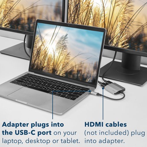 Insignia™ USB-C to Dual 4K HDMI Adapter - Gray GLOBAL SHIPPING