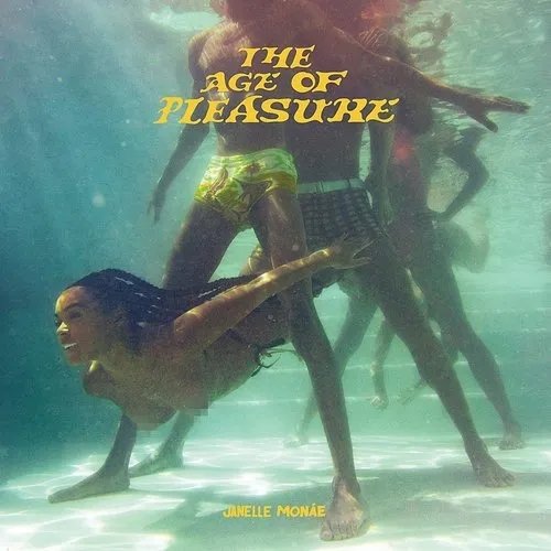 

The Age of Pleasure [LP] - VINYL