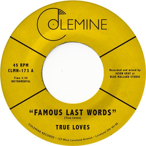 Famous Last Words [LP] [VINYL]
