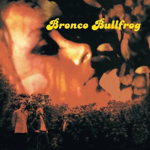 

Bronco Bullfrog [LP] - VINYL