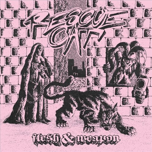 Flesh & Weapon [LP] [VINYL]