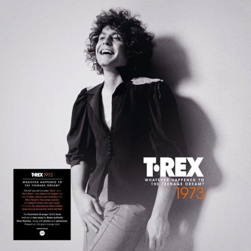 1973: Whatever Happened To The Teenage Dream [LP] - VINYL