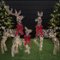 Best Choice Products - 3-Piece 2D Deer Family Set, Lighted Christmas Outdoor Decoration w/ 175 Lights, Stakes - Rattan-Front_Standard