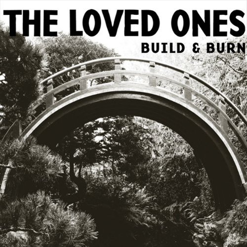 Build & Burn [LP] [VINYL]