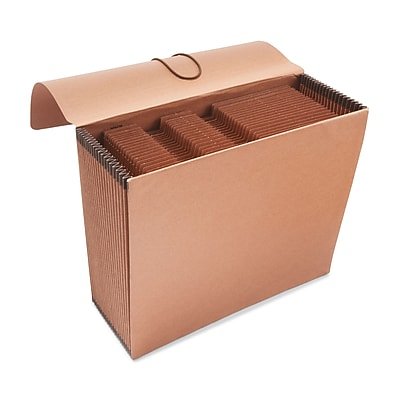 Staples - Heavy Duty Reinforced Expanding Wallet, Flap & Cord Closure, Letter Size, (ST595372) - Brown