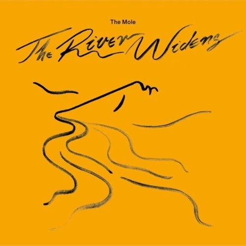 

The River Widens [LP] - VINYL
