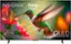 TM INSIGNIA fire tv QLED QUANTUM DOT LED