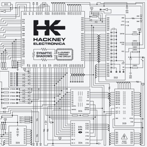 Synaptic Shadows [12 inch Vinyl Single]