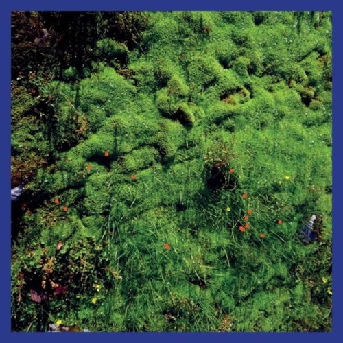 

Mt. Hadamard National Park [LP] - VINYL