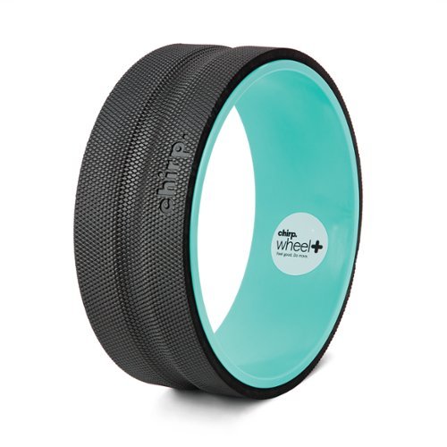 Chirp Wheel+ 12 Gentle - Mint INTERNATIONAL SHIPPING