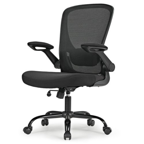 Eureka Ergonomic - Ergonomic Mesh Office Chair with Adjustable Lumbar Support - Black-Front_Standard 