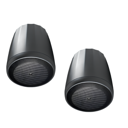 JBL - Control C65P/T 5.25" 150W 8 Ohm and 70V/100V Pendant Speaker-Pair - Black