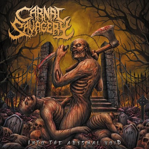 Into the Abysmal Void [LP] - VINYL