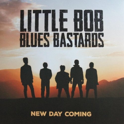 

New Day Coming [LP] - VINYL
