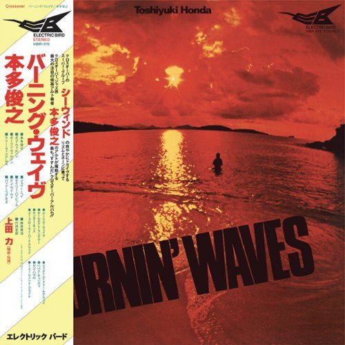 

Burnin' Waves [LP] - VINYL