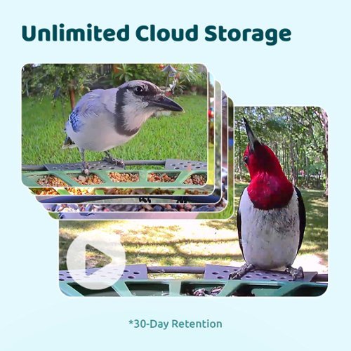 BIRDFY Birdfy 2 Smart Bird Feeder with Camera, 2K Portrait & 1080P Wide-Angle, AI Identifies 6000+ Birds, Weatherproof - Green HOW TO BUY