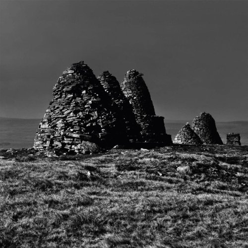 Standers [LP] - VINYL