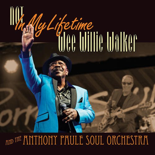  Not in My Lifetime [LP] - VINYL INTERNATIONAL SHIPPING