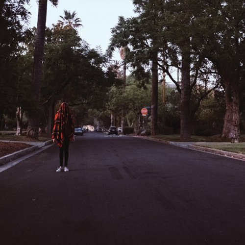 

Warm Blanket [LP] - VINYL