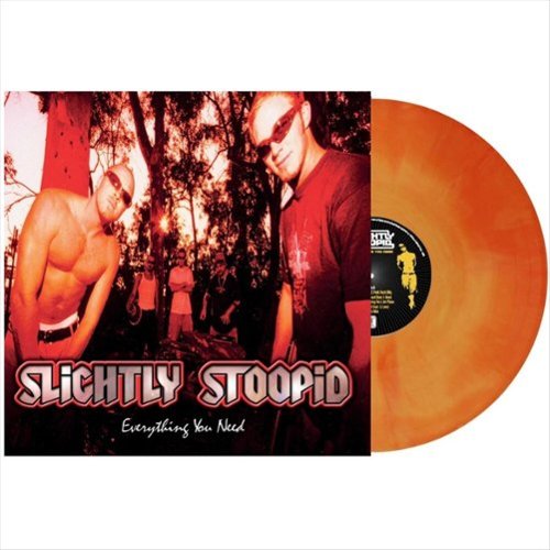 

Everything You Need [LP] - VINYL