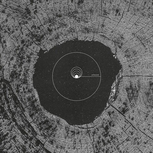 

20 Years With Echocord [LP] - VINYL