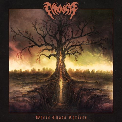 

Where Chaos Thrives [LP] - VINYL