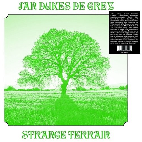 

Strange Terrain [LP] - VINYL