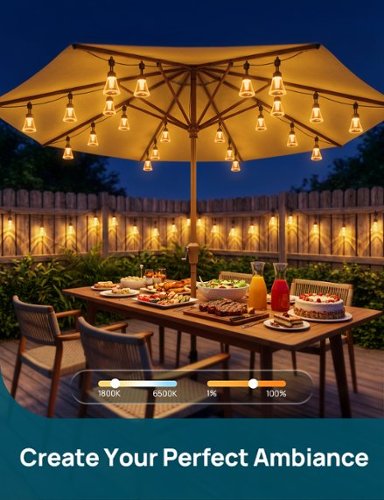 Linkind 48ft Smart Outdoor String Lights, Matter Compatible, AI Effects, IP67 Waterproof, Works with Alexa, Google Home - Black WHERE TO BUY