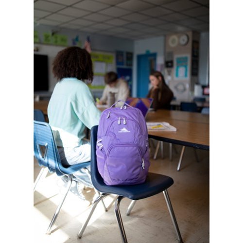 High Sierra BTS 2020 Swoop SG Backpack - Light Purple HOW TO BUY