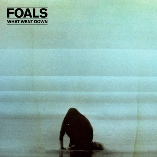  What Went Down [CD]