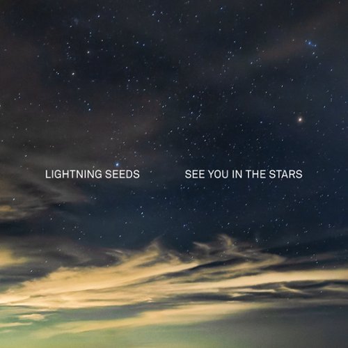 

See You in the Stars [LP] - VINYL