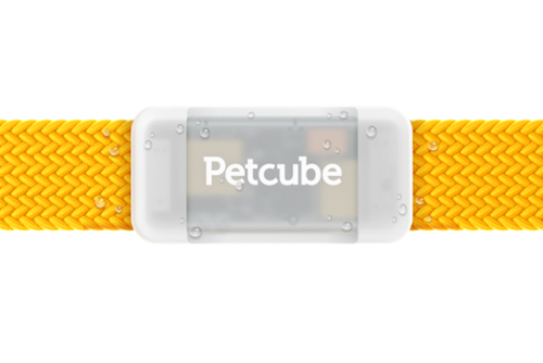 Petcube - GPS Tracker | Pet GPS Tracker with Escape Alerts, Virtual Fences, Activity Monitoring, Glow, Waterproof - Gray-Front_Standard 