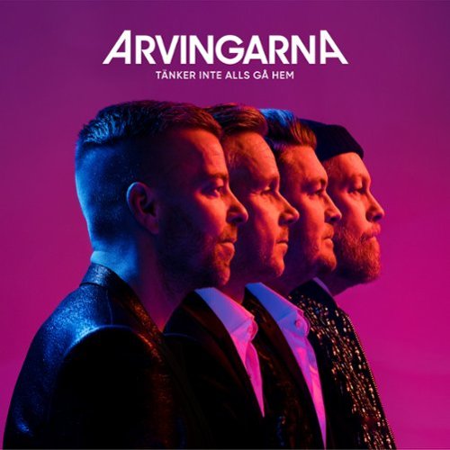Tänker inte alls gå hem [LP] - VINYL