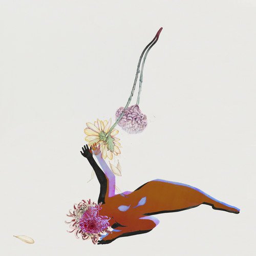  The Far Field [CD]