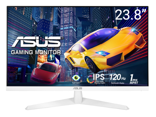 ASUS 24