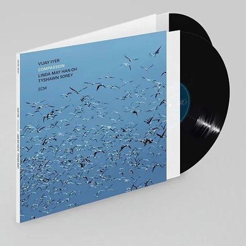 Vijay Iyer - Compassion - Music & Performance - Vinyl