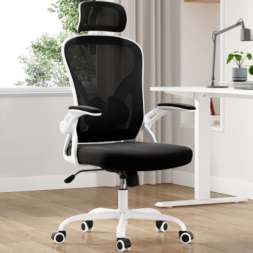 Trinkets Crazed -  Ergonomic Office Chair, Home Office Desk Chair with Headrest, High Back Computer Chair with Armrests  - white-black-Front_Standard 