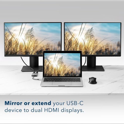 Insignia™ USB-C to Dual 4K HDMI Adapter - Gray WORLDWIDE DELIVERY