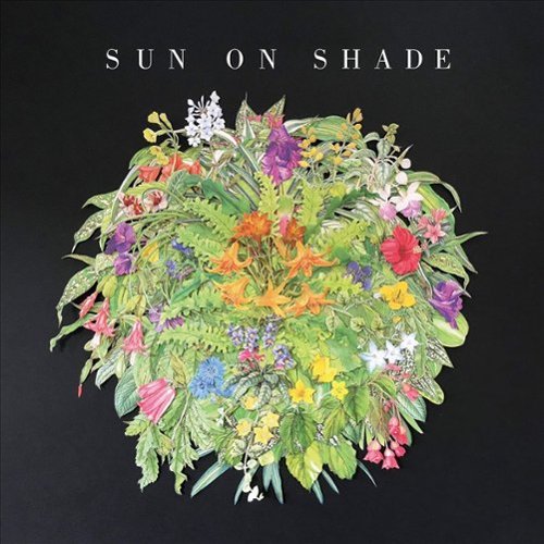 Sun on Shade [12 inch Vinyl Single]