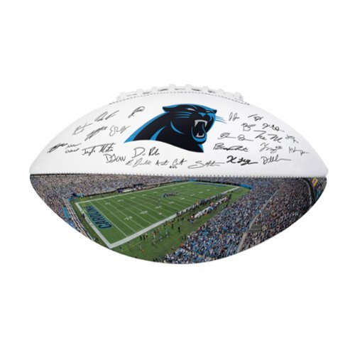 Logo Brands - Carolina Panthers 2025 Autograph Signature Football - Black-Front_Standard 