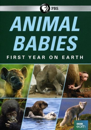 Animal Babies: First Year on Earth